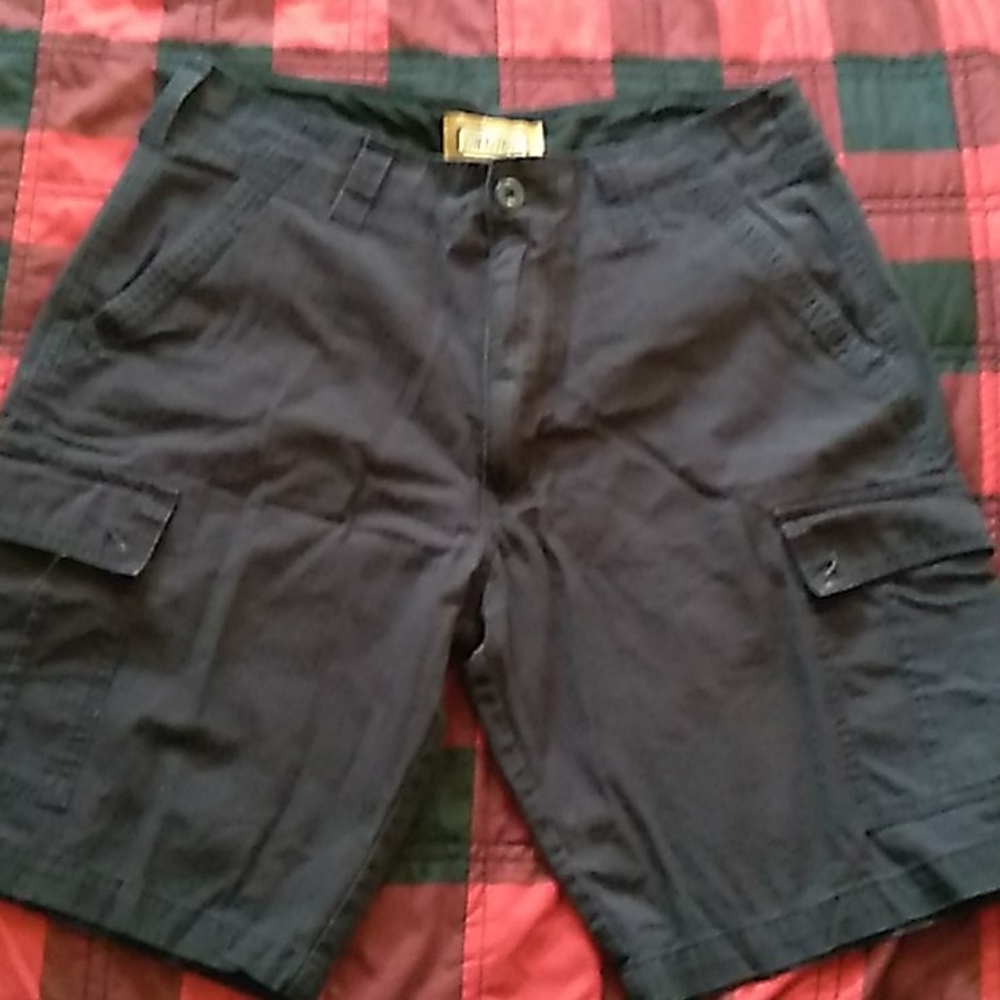 10W apparel cargo shorts